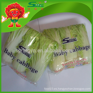 Chino gran col de bebé (tres pack) vegetales verdes